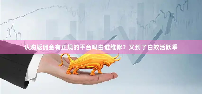 认购返佣金有正规的平台吗由谁维修？又到了白蚁活跃季