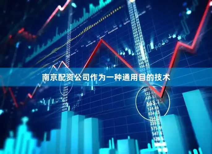 南京配资公司作为一种通用目的技术